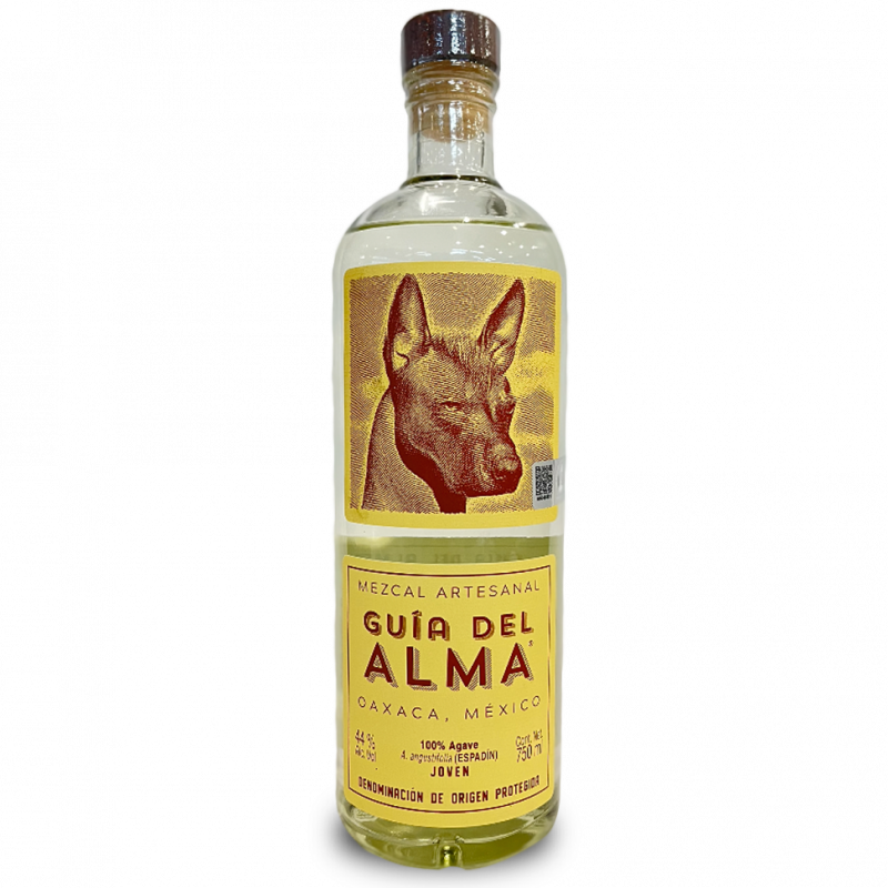 Guía del Alma